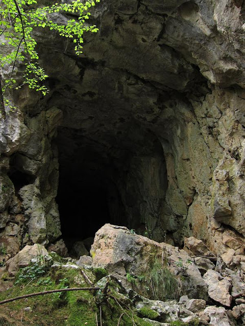 Peștera Fusteica