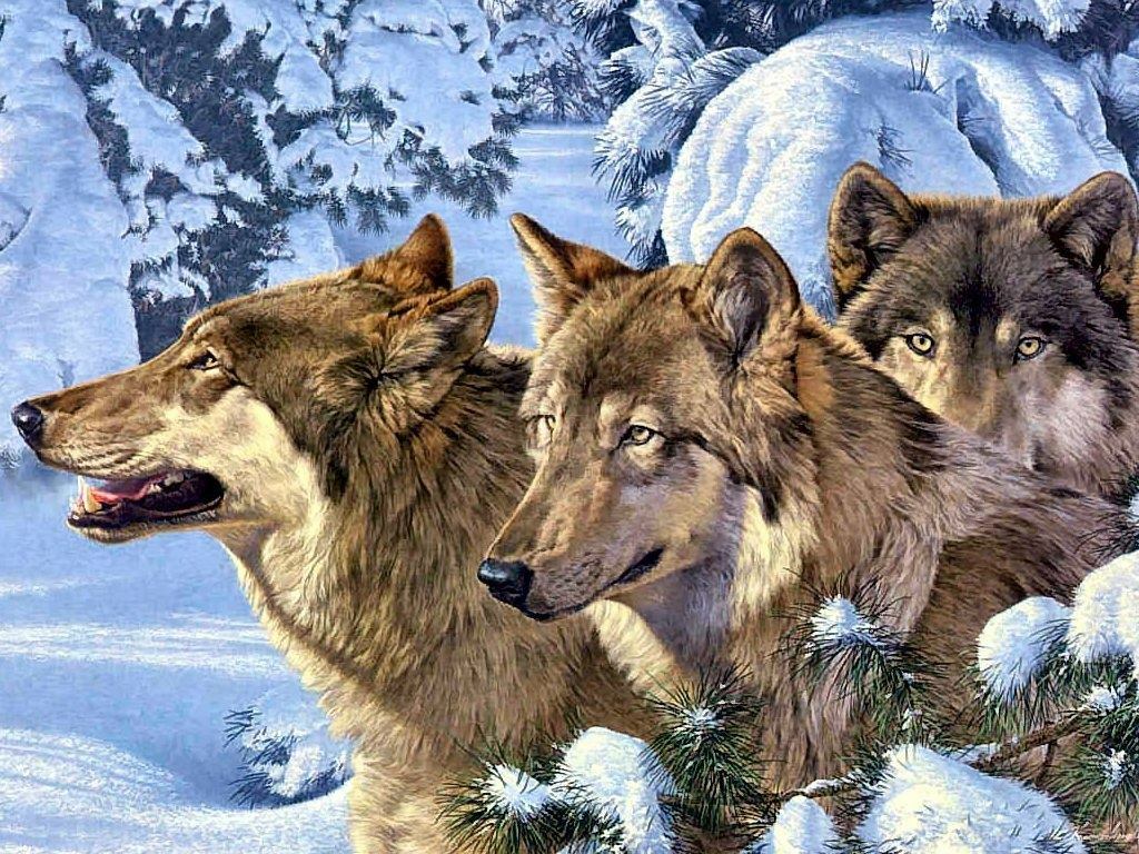 Club montan „White Wolf” - La hamace