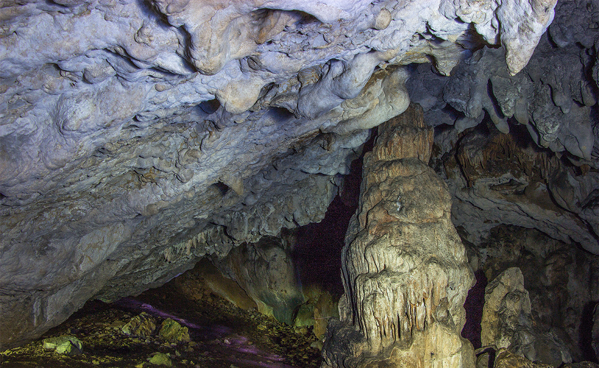 Peștera Gârla Vacii